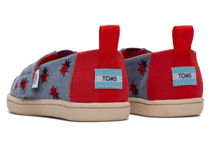 Toms Tiny Alpargata Lucky Ladybugs Gyerek Alpargatas Kék Magyarország | HU717-200